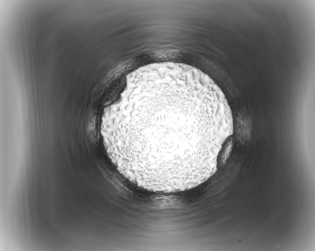 X0000103430428200810031355