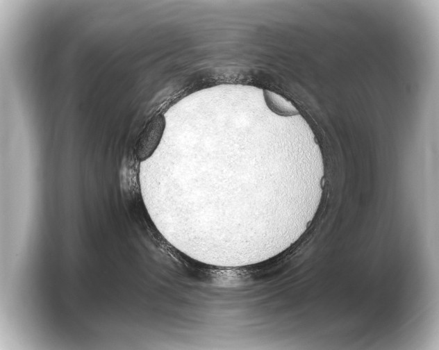 X0000103430432200810031354