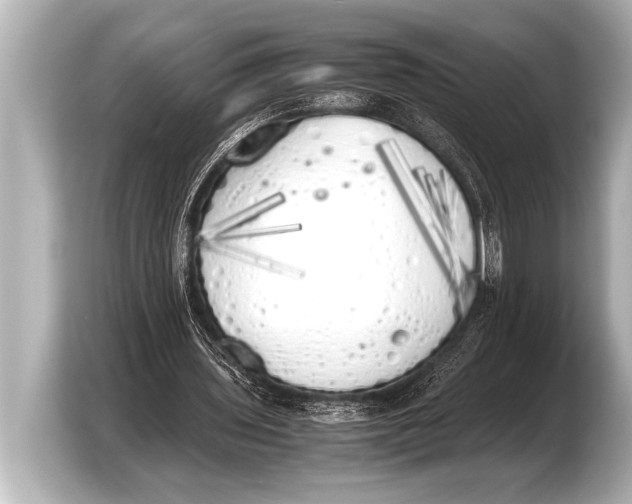 X0000103430435200810031354