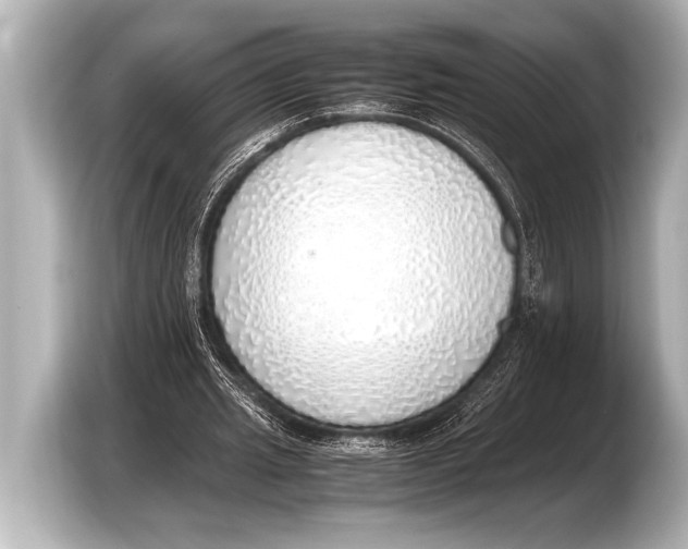 X0000103430437200810031354