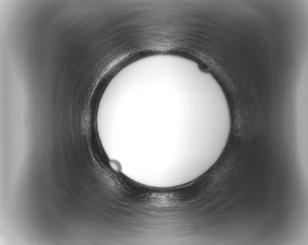 X0000103430440200810031354