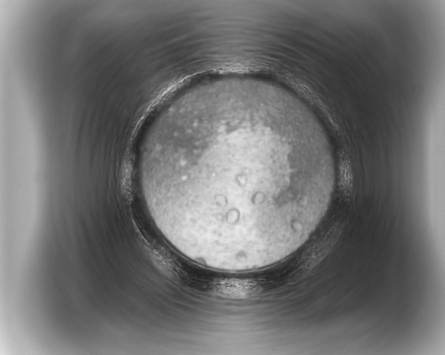 X0000103430444200810031354