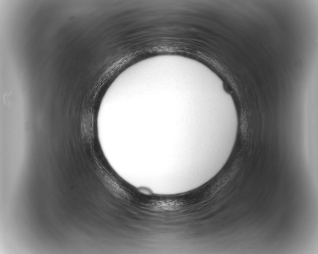 X0000103430445200810031354