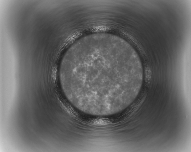 X0000103430451200810031354