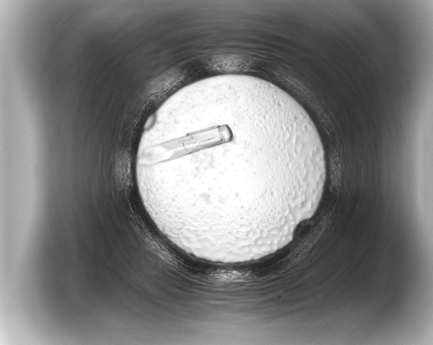 X0000103430453200810031354