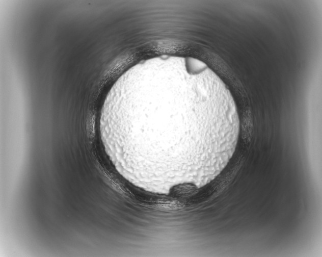 X0000103430454200810031354