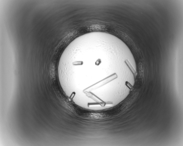 X0000103430457200810031354