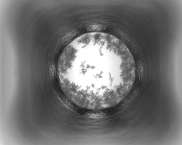 X0000103430459200810031354