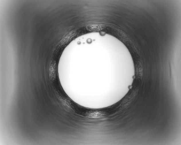 X0000103430460200810031354