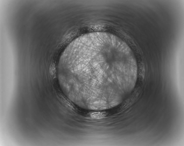 X0000103430465200810031354