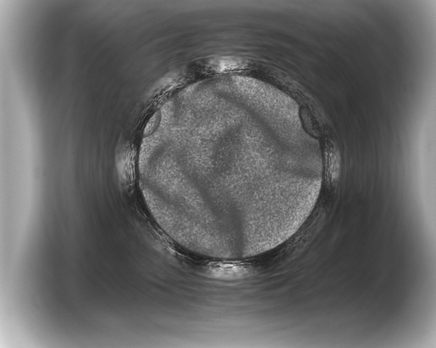 X0000103430475200810031354