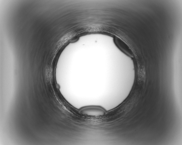 X0000103430485200810031354