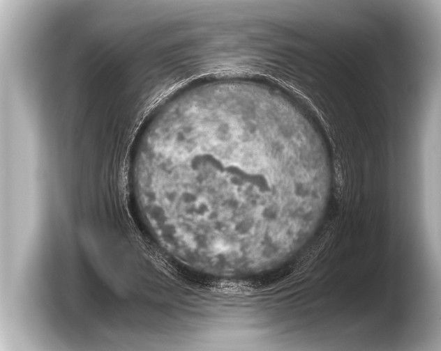 X0000103430487200810031354