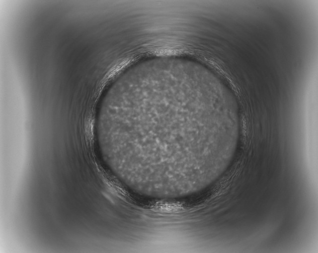 X0000103430491200810031354