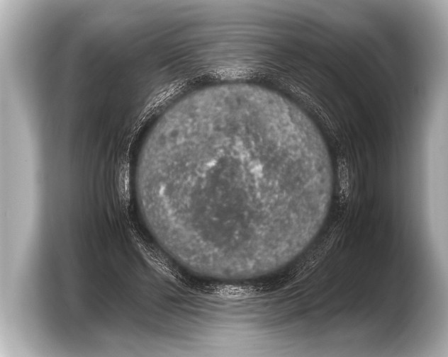 X0000103430494200810031354