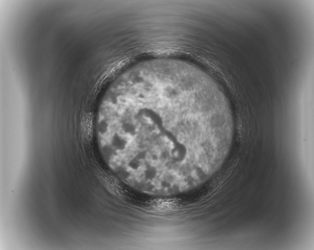 X0000103430495200810031353