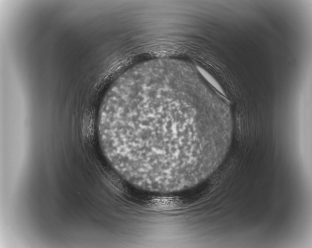 X0000103430499200810031353