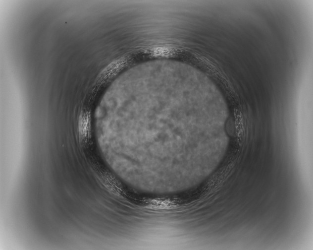 X0000103430502200810031353