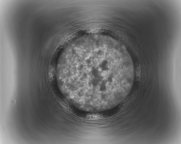 X0000103430503200810031353