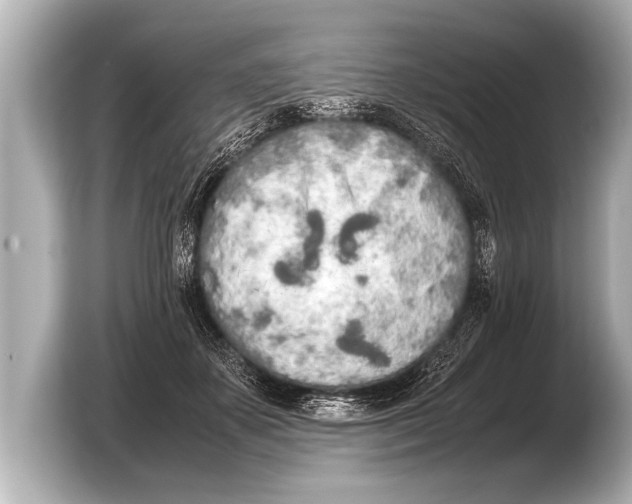 X0000103430507200810031353