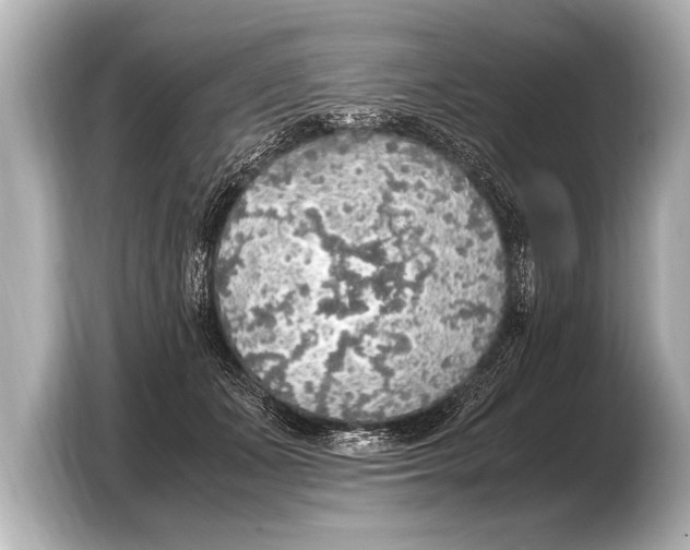 X0000103430511200810031353