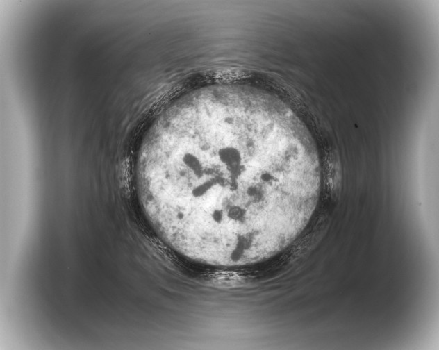 X0000103430519200810031353