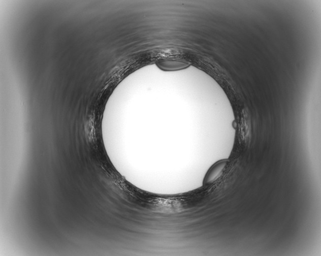 X0000103430520200810031353