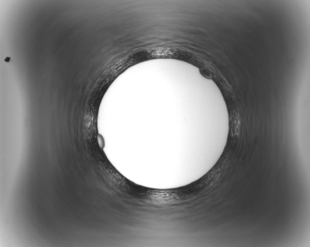 X0000103430521200810031353