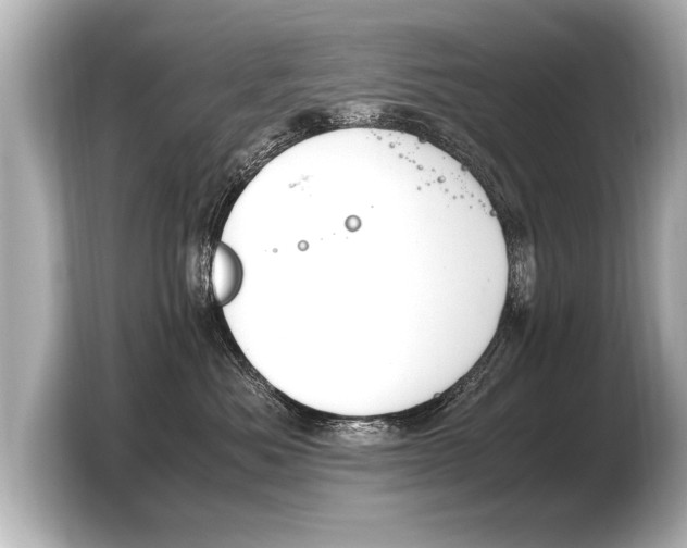 X0000103430525200810031353