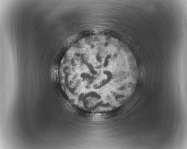 X0000103430527200810031353