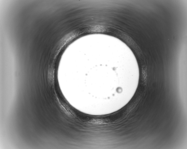 X0000103430534200810031352