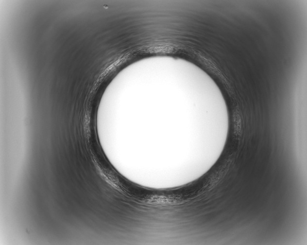 X0000103430538200810031353