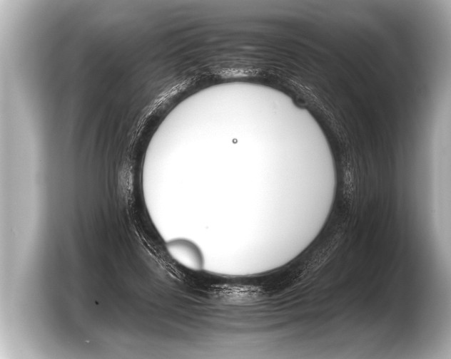 X0000103430539200810031353