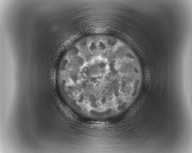 X0000103430542200810031353