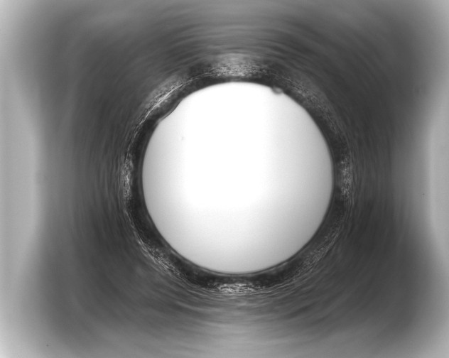 X0000103430544200810031353