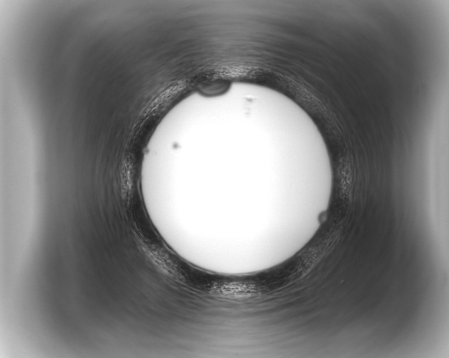 X0000103430546200810031353