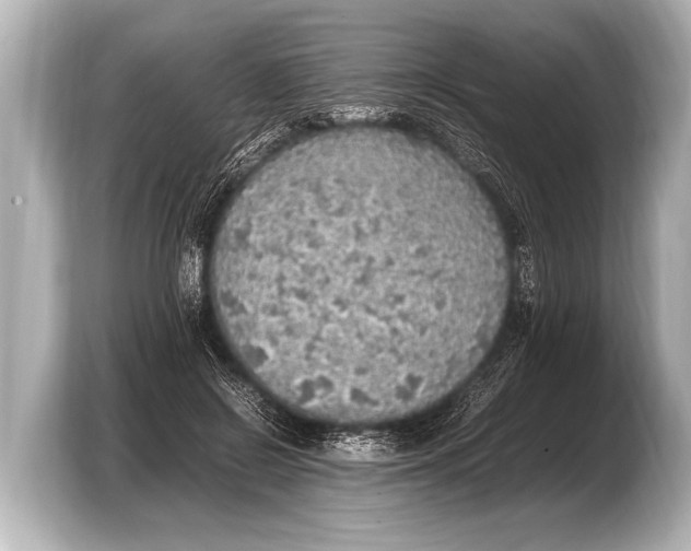 X0000103430550200810031353