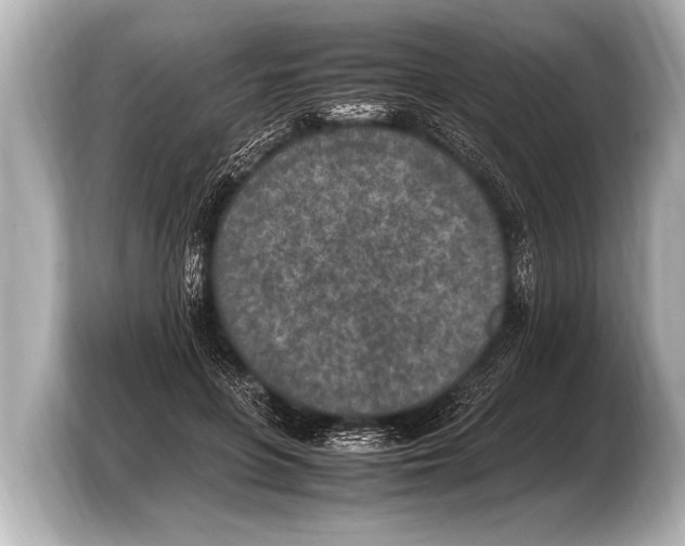 X0000103430551200810031353