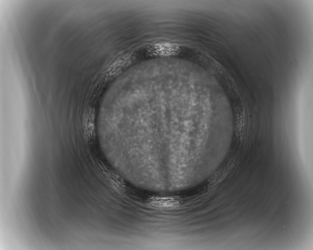 X0000103430553200810031353