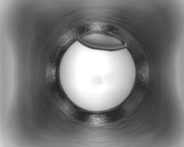 X0000103430556200810031353