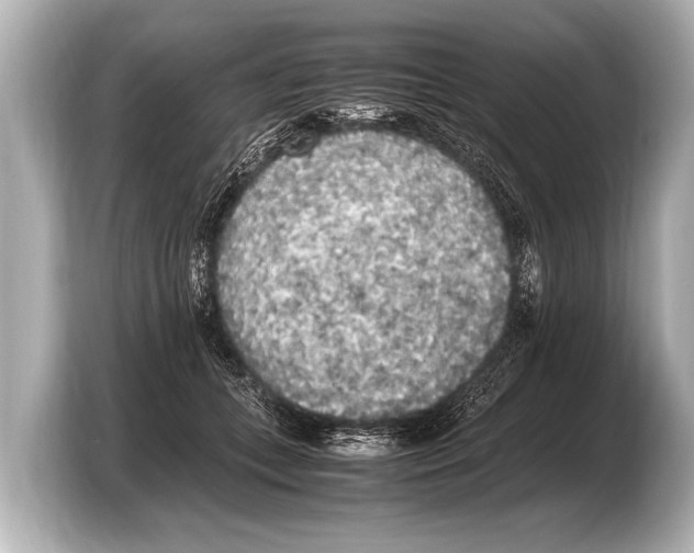 X0000103430559200810031353