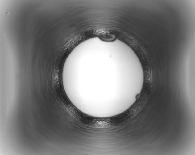 X0000103430560200810031353