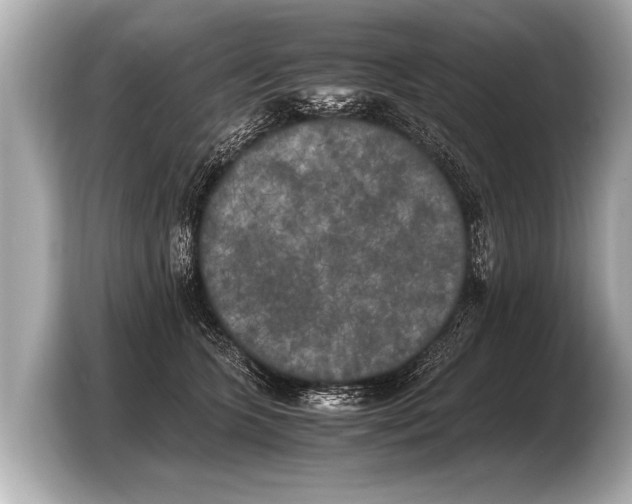 X0000103430563200810031353