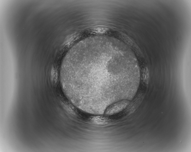 X0000103430568200810031353