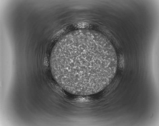 X0000103430569200810031353