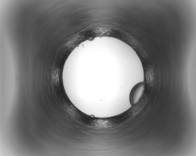 X0000103430570200810031353