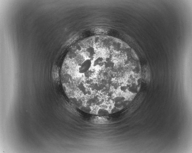 X0000103430573200810031353