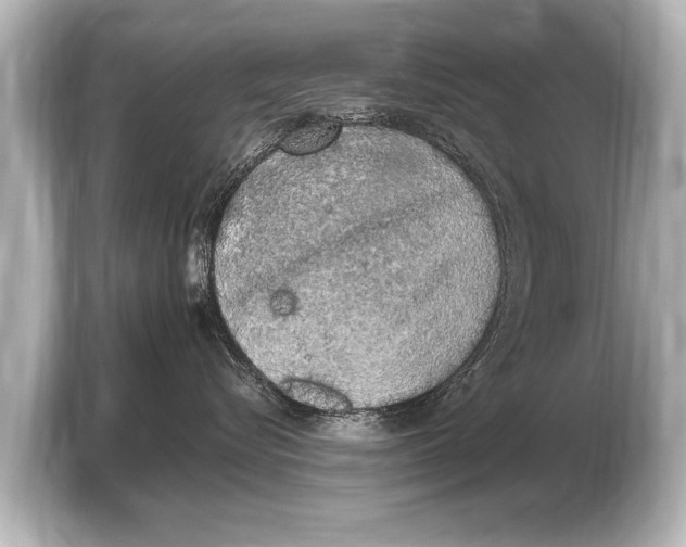 X0000103430576200810031353