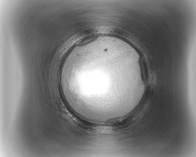 X0000103430577200810031352