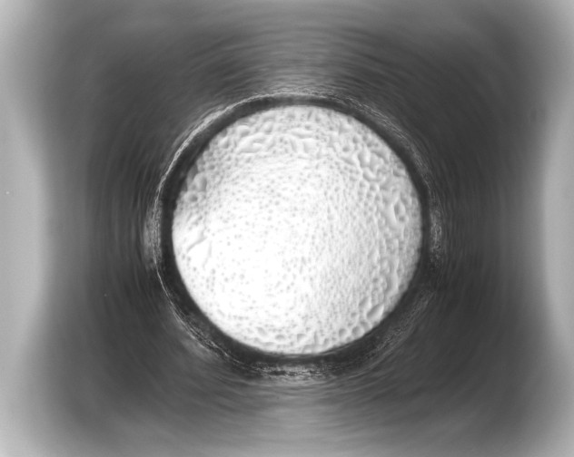 X0000103430580200810031352